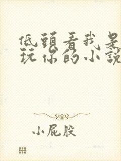低头看我是怎么玩你的小说