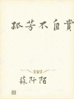 孤芳不自赏小说