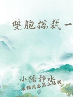 双胞总裁一个妻