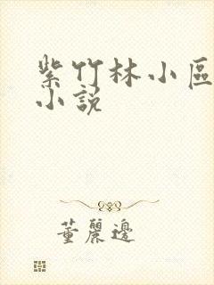 紫竹林小区快递小说