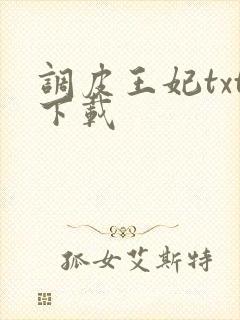 调皮王妃txt下载