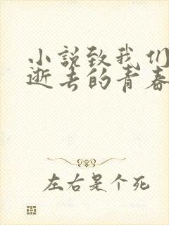 小说致我们终将逝去的青春