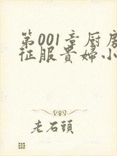 第001章厨房征服贵妇小说