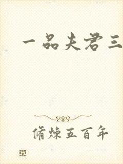 一品夫君三流妻