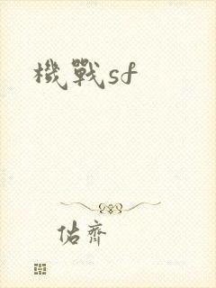 机战sf
