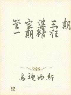 管家婆三期必开一期精准
