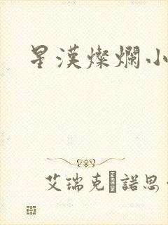 星汉灿烂小说