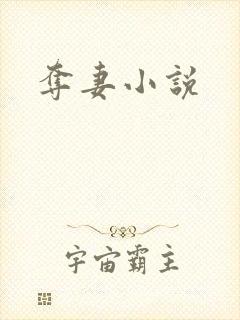 夺妻小说