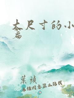 大尺寸的小说短篇