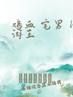 鸡血 宅男 网游王