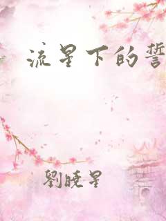 流星下的誓言
