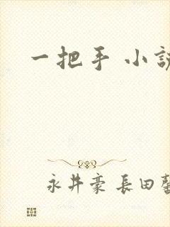 一把手 小说