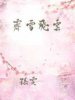 霁雪飞云