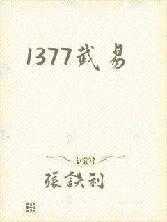 1377武易