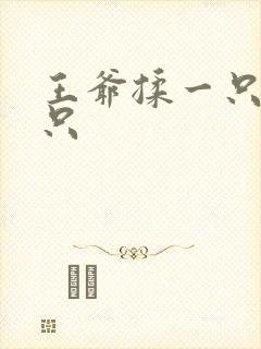 王爷揉一只舔一只