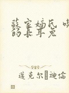 苏家嫡氏 吃肉的长耳兔