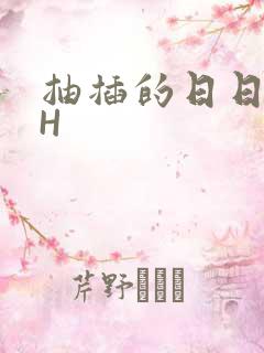 抽插的日日液液H