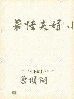 最佳夫婿 小说