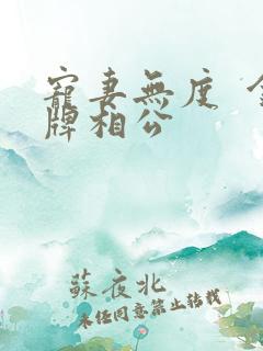 宠妻无度  金牌相公