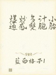 爆炒多汁小美人通感双胞胎燎锋