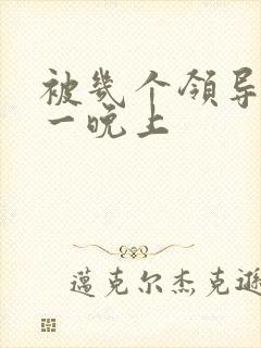 被几个领导玩弄一晚上