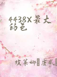 4438X最大的色
