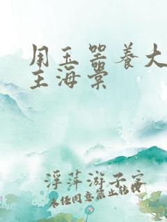 用玉器养大的公主海棠