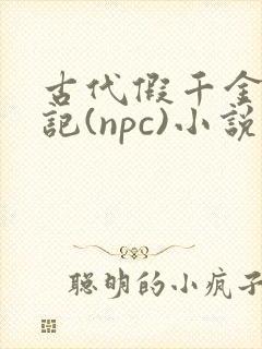 古代假千金挨日记(npc)小说