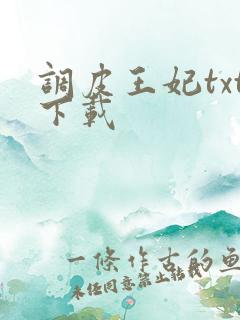 调皮王妃txt下载