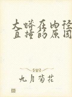 大蟒在内径横冲直撞的原因