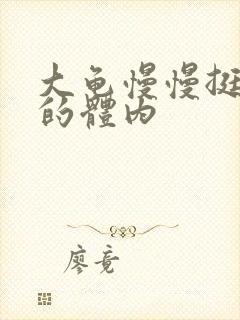 大龟慢慢挺进我的体内