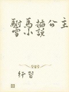 驸马插公主恋战雪小说