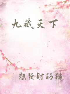 九藏天下