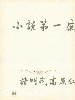 小说第一庶女