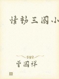 情动三国小说