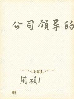 公司领导的老婆