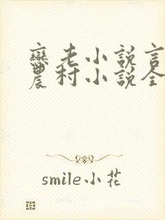 恋老小说言情网农村小说全文阅读