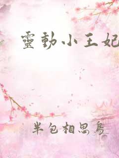 灵动小王妃