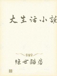 大生活小说