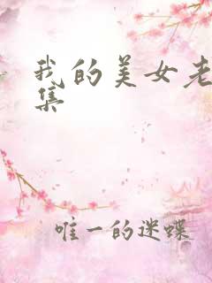 我的美女老总续集