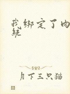 我绑定了肉H系统