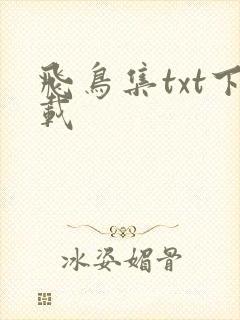 飞鸟集txt下载