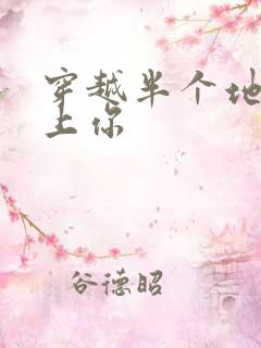 穿越半个地球爱上你