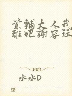 首辅大人我们和离吧谢容珏