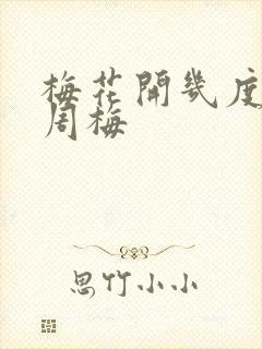 梅花开几度老张周梅