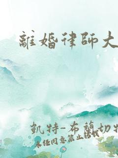 离婚律师大结局