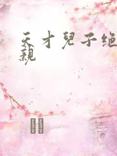 天才儿子绝色娘亲