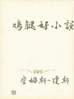 鸡腿好小说网