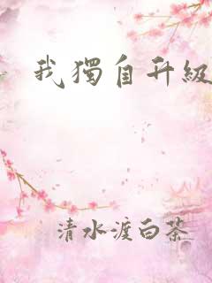 我独自升级小说