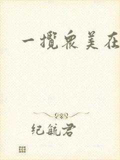 一揽众美在三国